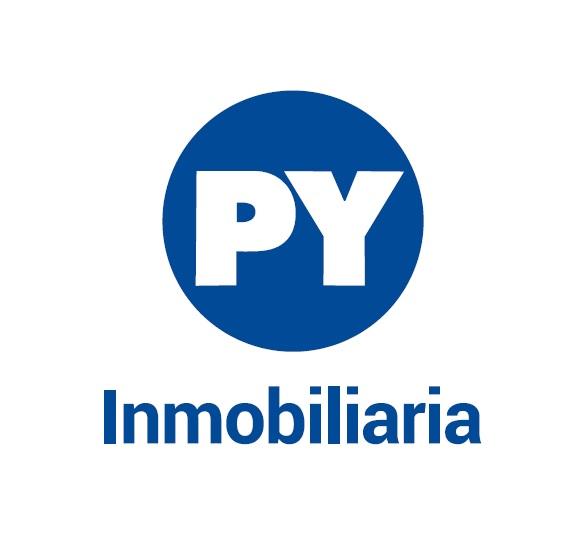 P y. Логотип y. Y A P logo.