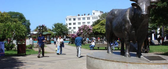 Conservador de Bienes Raíces de Río Negro